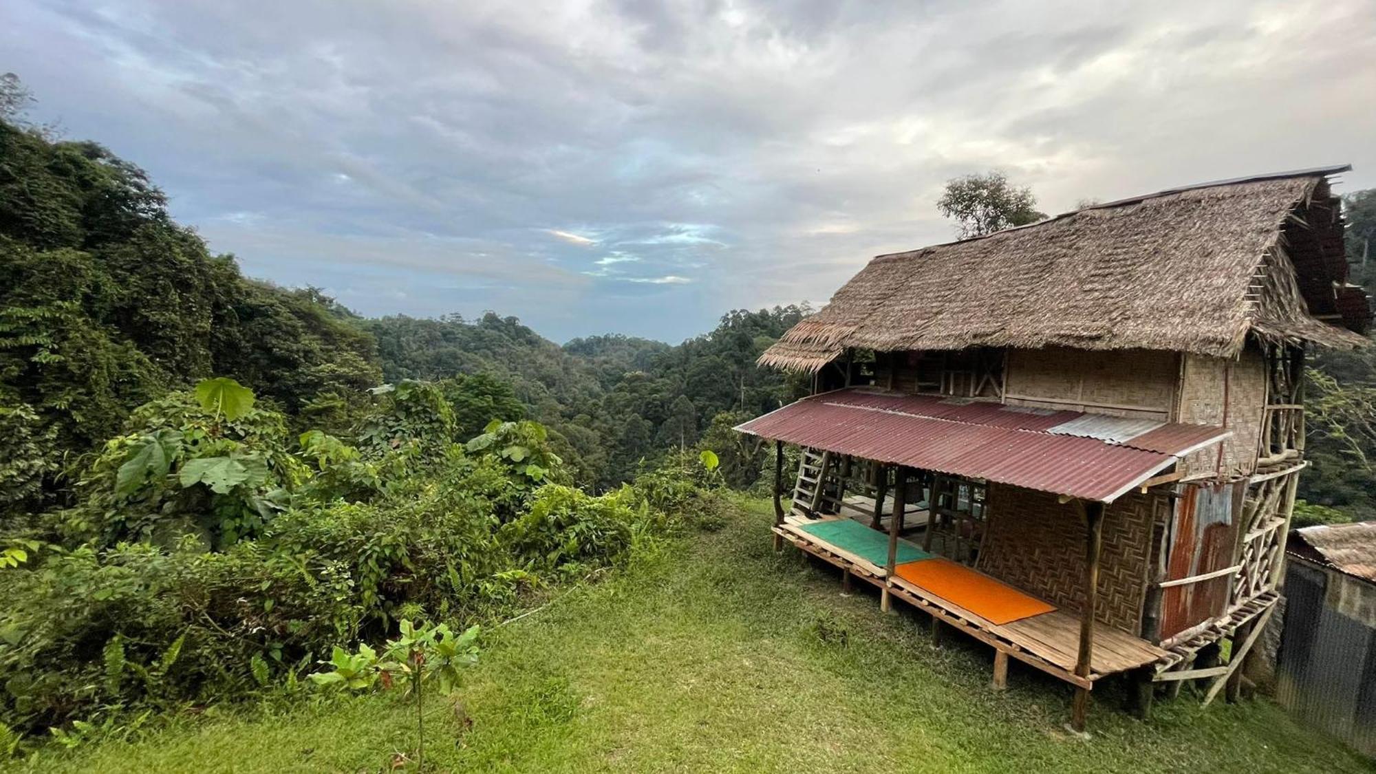 Orangutantreksumatra & Lovely Jungle Lodge Only Book If You Are Treking With Us Bukit Lawang Habitación foto