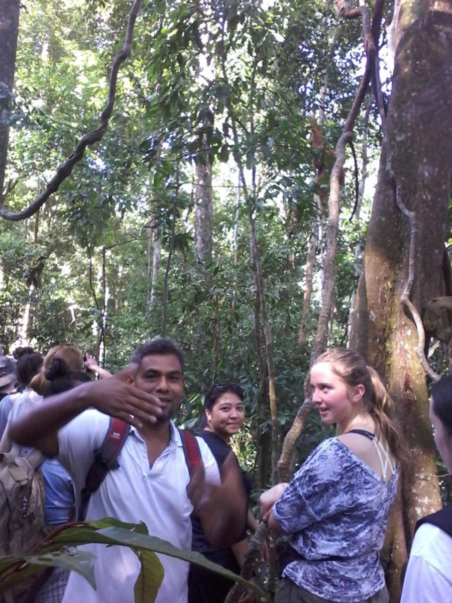 Orangutantreksumatra & Lovely Jungle Lodge Only Book If You Are Treking With Us Bukit Lawang Habitación foto